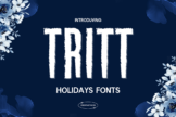 Product image of Tritt Holidays Font