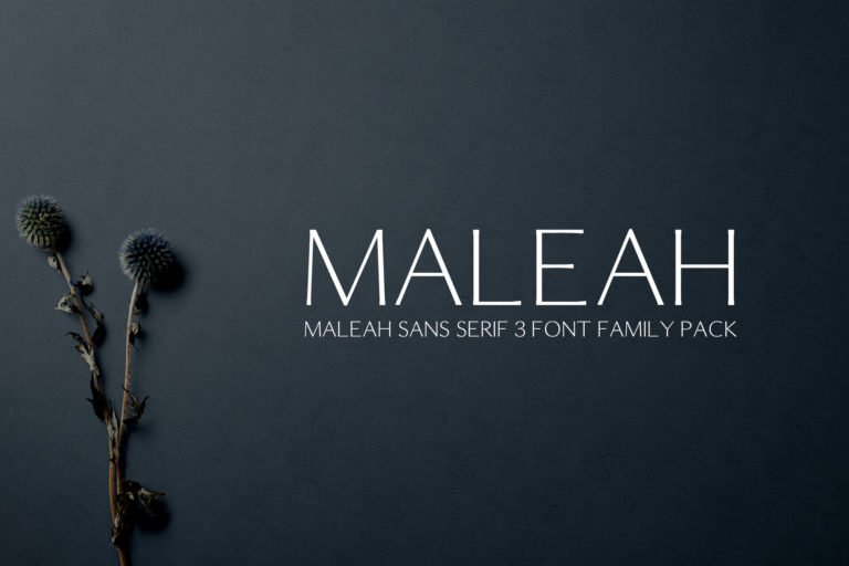 Maleah Sans Serif 4 Font Family Pack